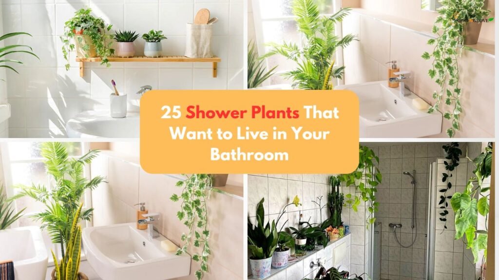 25 Shower Plants That Want to Live in Your Bathroom